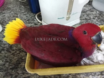 27657599_10156039103331303_4528097149497989204_n