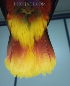 27972265_10156075754426303_2671984875052989451_n