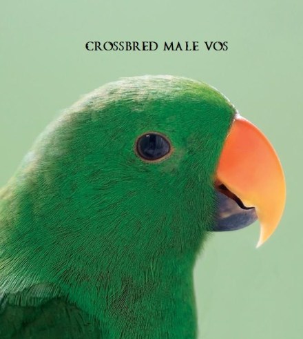 13782295_10153743801488671_1188863460757030510_n