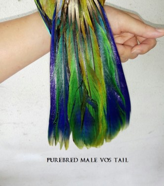 28279001_10156108078916303_566841270921761797_n