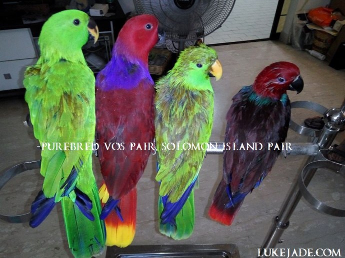 29186936_10156166197241303_2080157179481948160_n