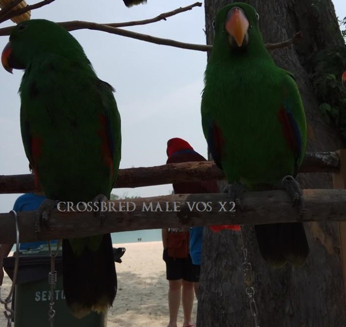 29187265_10156166361171303_8406081030766723072_n