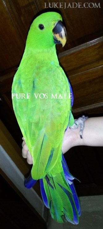 29196909_10156166193316303_7903307099625488384_n