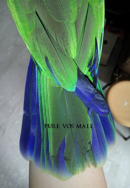 29197314_10156166197936303_7669804992055738368_n