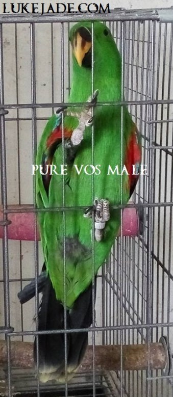 29249429_10156166195886303_6484607873371340800_n