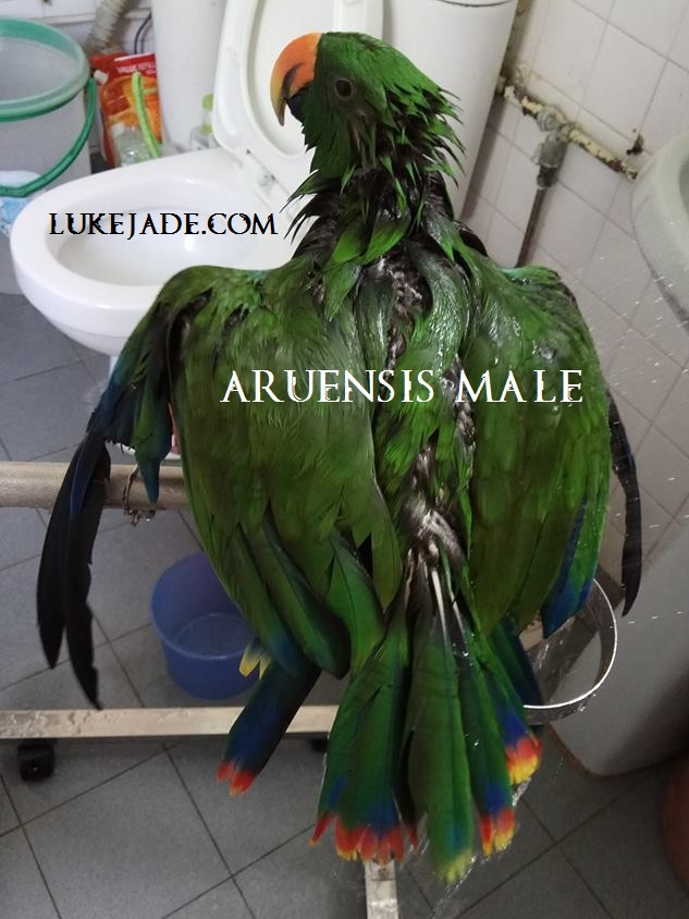 29313204_10156168688546303_8191645193556983808_n