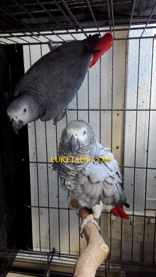 11896142_10153566241866303_114311354615523552_n