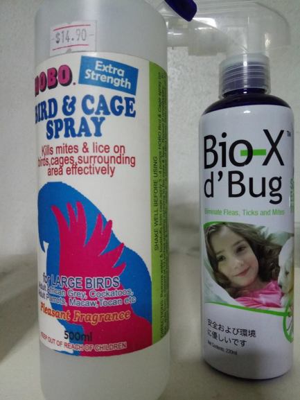 42386883_10156647099526303_4733770167463444480_n