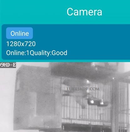 42709141_10156660774116303_2278765443730636800_n