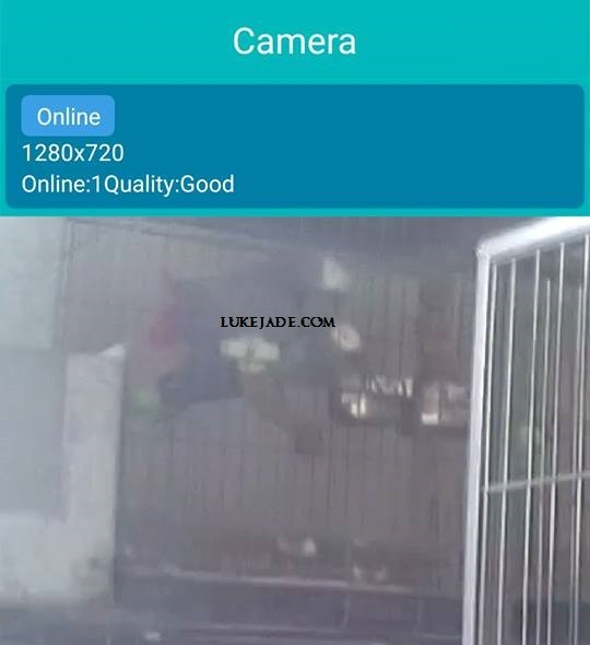 42835098_10156660775396303_8935022342216613888_n